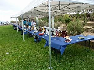 AGDE 2012 COMMEMORATION DU DEBARQUEMENT DU 15 AOUT 1944   (5)